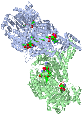 Image Asym./Biol. Unit