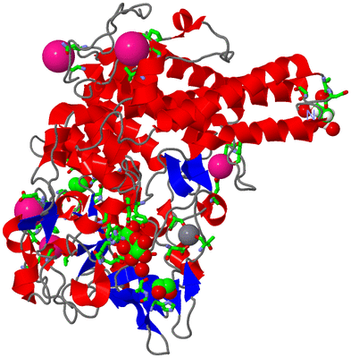 Image Asym./Biol. Unit - sites