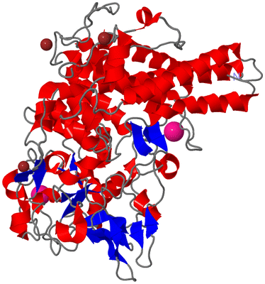 Image Asym./Biol. Unit