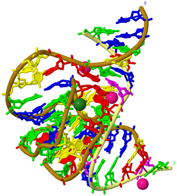 Image Asym./Biol. Unit