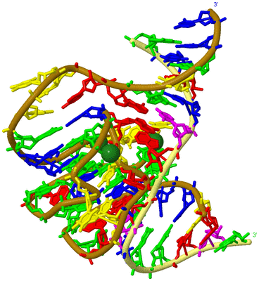 Image Asym./Biol. Unit