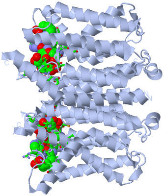 Image Biol. Unit 1 - sites