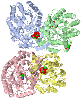 Image Asym./Biol. Unit