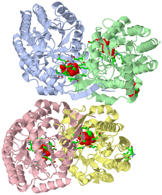 Image Asym./Biol. Unit - sites