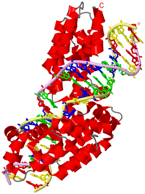 Image Asym./Biol. Unit