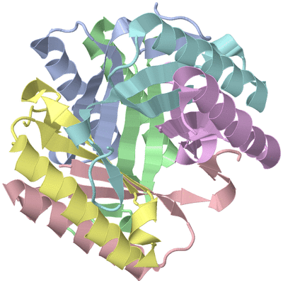 Image Biol. Unit 1 - sites