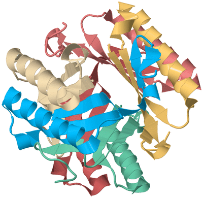 Image Biological Unit 2