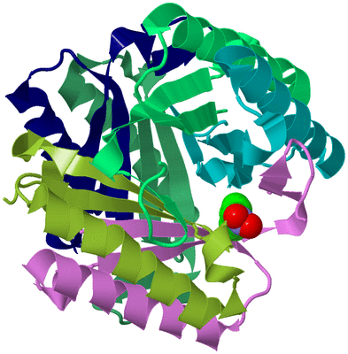 Image Biological Unit 3