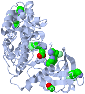 Image Biological Unit 1