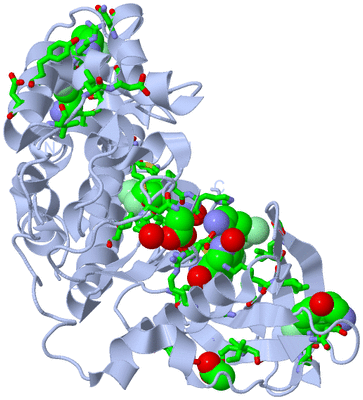 Image Biol. Unit 1 - sites