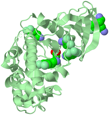 Image Biological Unit 2