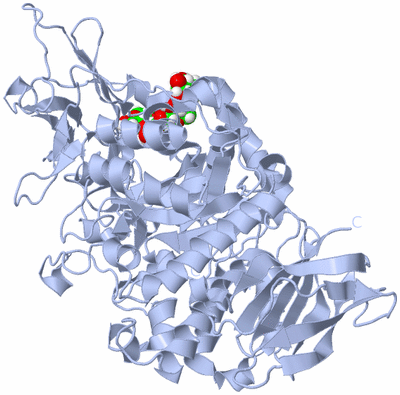 Image Biological Unit 1