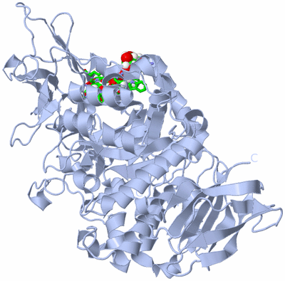 Image Biol. Unit 1 - sites