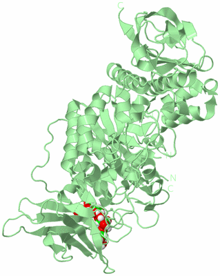 Image Biological Unit 2