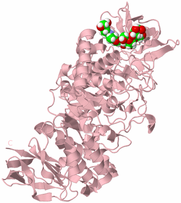 Image Biological Unit 3