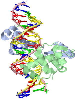 Image Biological Unit 1