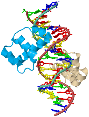 Image Biological Unit 3