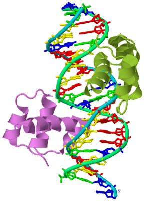 Image Biological Unit 4