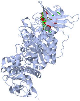 Image Biol. Unit 1 - sites