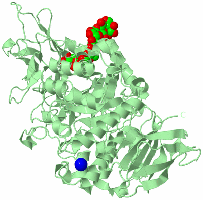 Image Biological Unit 2