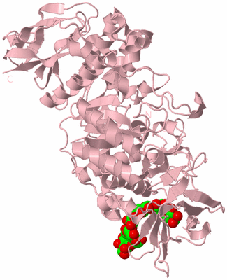 Image Biological Unit 3