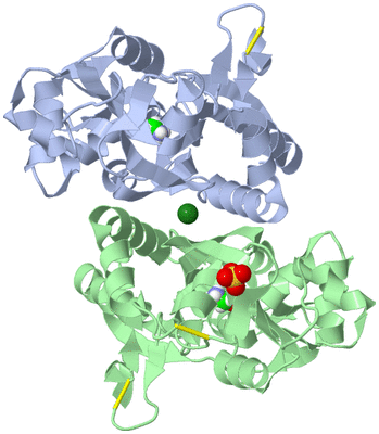 Image Asym./Biol. Unit