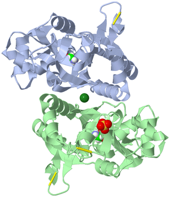 Image Asym./Biol. Unit