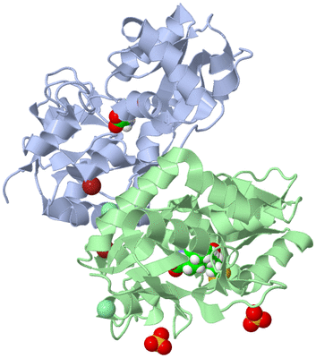 Image Asym./Biol. Unit