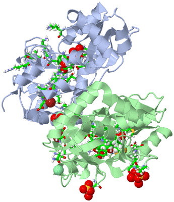 Image Asym./Biol. Unit - sites