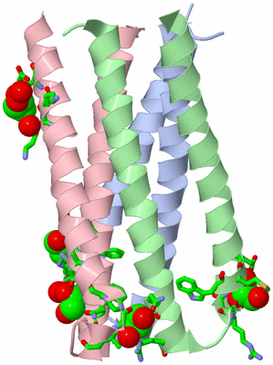 Image Asym./Biol. Unit - sites