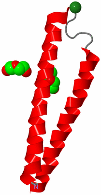 Image Asymmetric Unit