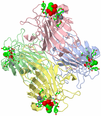 Image Asym./Biol. Unit - sites