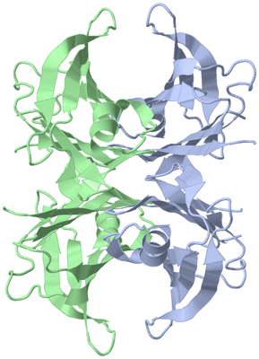 Image Biological Unit 1