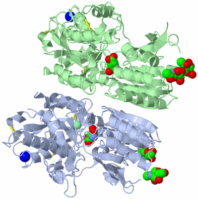 Image Asym./Biol. Unit