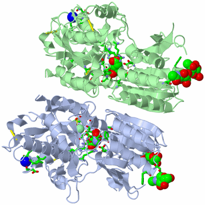 Image Asym./Biol. Unit - sites