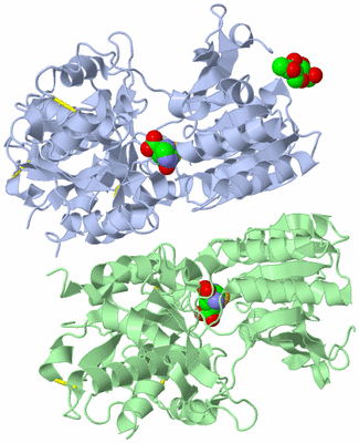 Image Asym./Biol. Unit