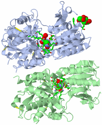 Image Asym./Biol. Unit - sites