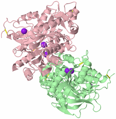 Image Biological Unit 2