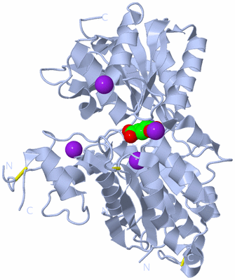 Image Biological Unit 4