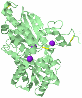 Image Biological Unit 5