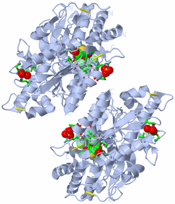 Image Biol. Unit 1 - sites