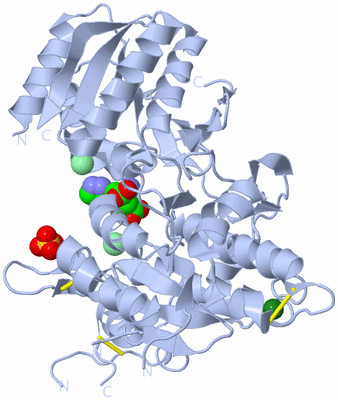 Image Biological Unit 2