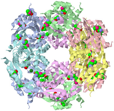 Image Biological Unit 1