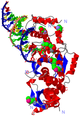 Image Asym./Biol. Unit - sites