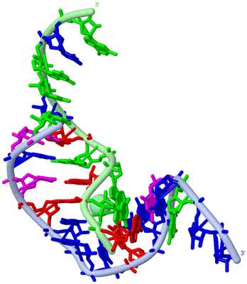 Image Biological Unit 1