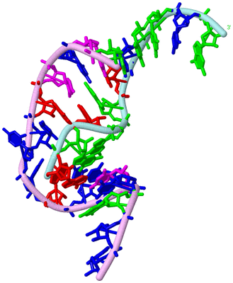 Image Biological Unit 2