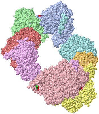 Image Asym./Biol. Unit