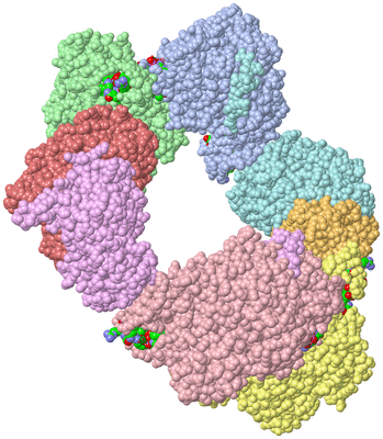 Image Asym./Biol. Unit - sites