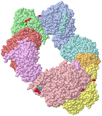 Image Asym./Biol. Unit