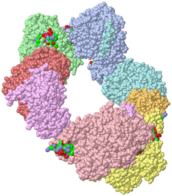 Image Asym./Biol. Unit - sites